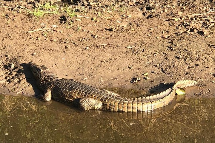 Isimangaliso Wetland Park Estuary Boat Safari - Photo 1 of 2